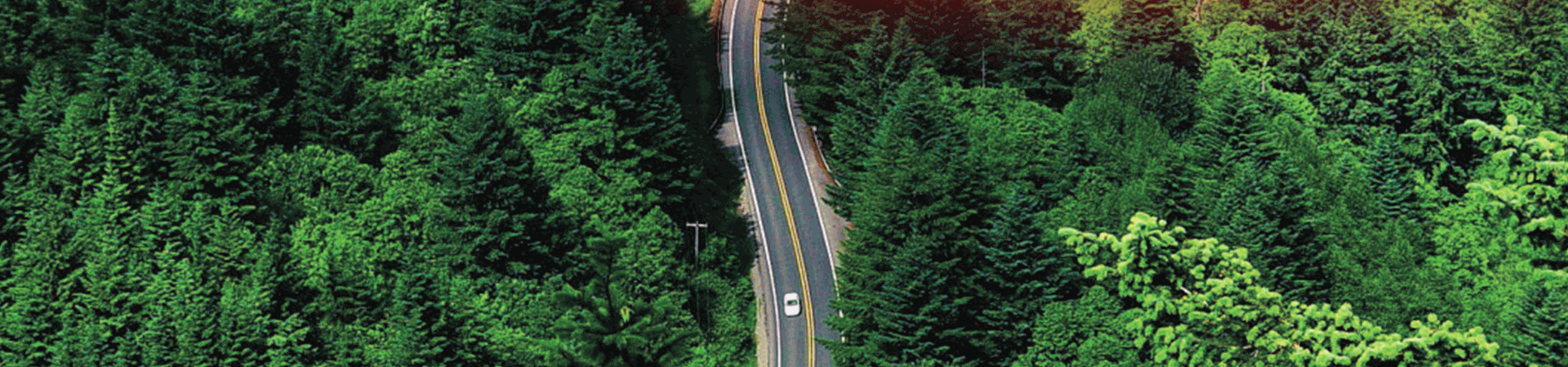 社會(huì)責(zé)任