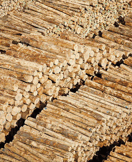 大宗商品貿(mào)易